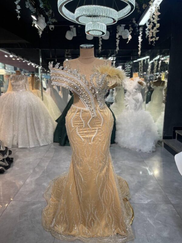 Women's Collections