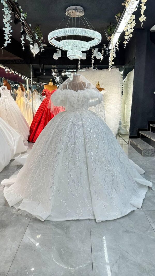 Women's Collections