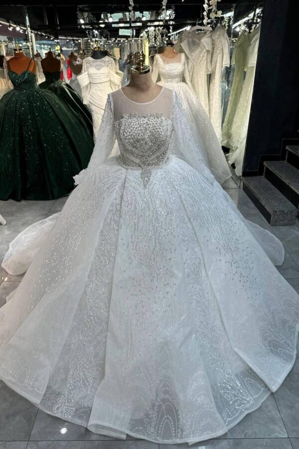 Women's Collections