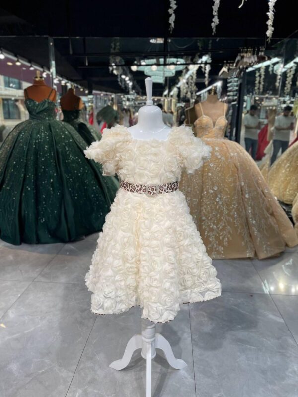 Women's Collections
