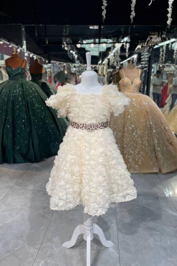 Women's Collections