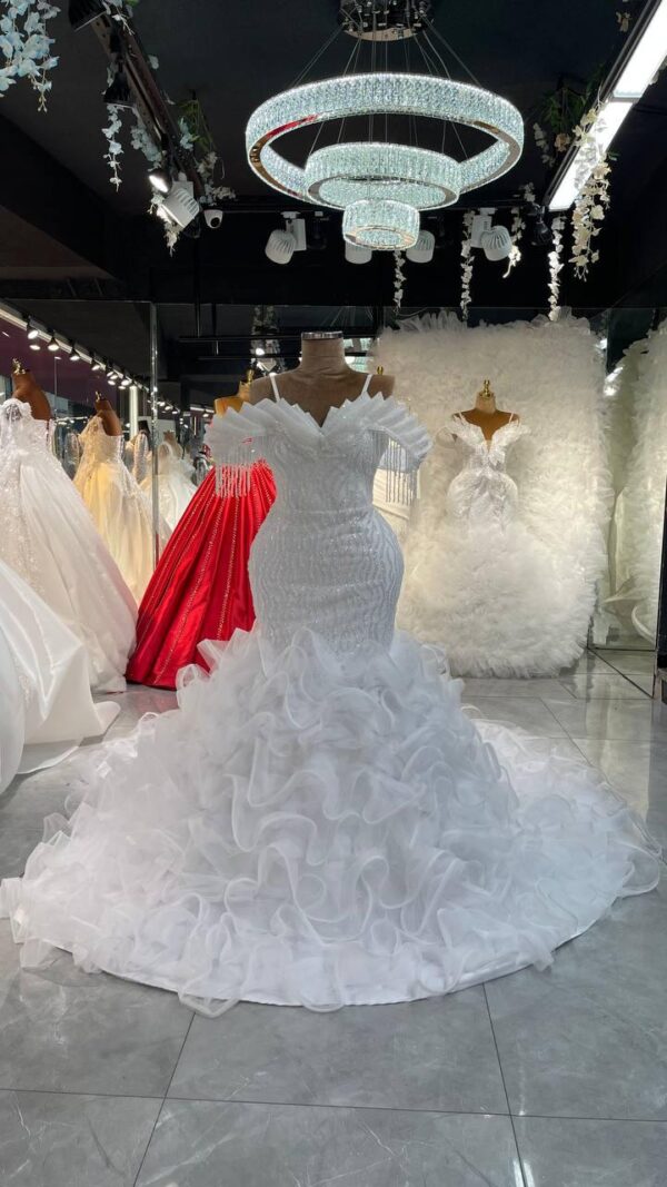 Women's Collections