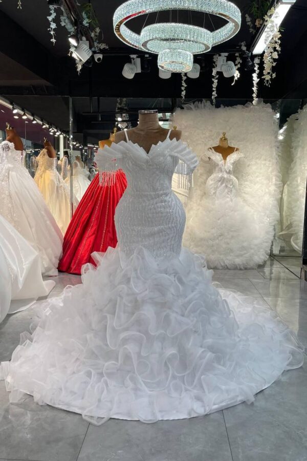 Women's Collections