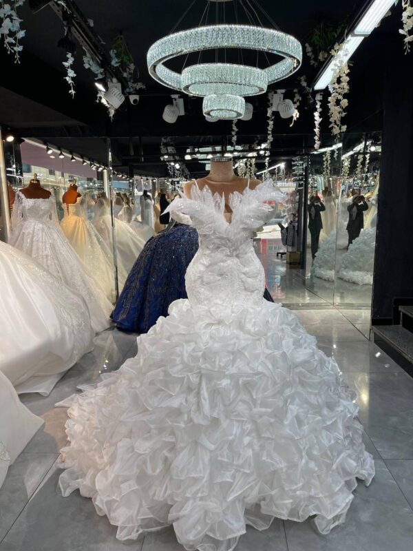 Women's Collections