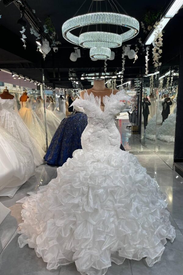 Women's Collections