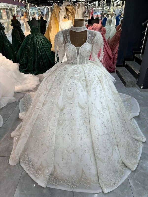 Women's Collections