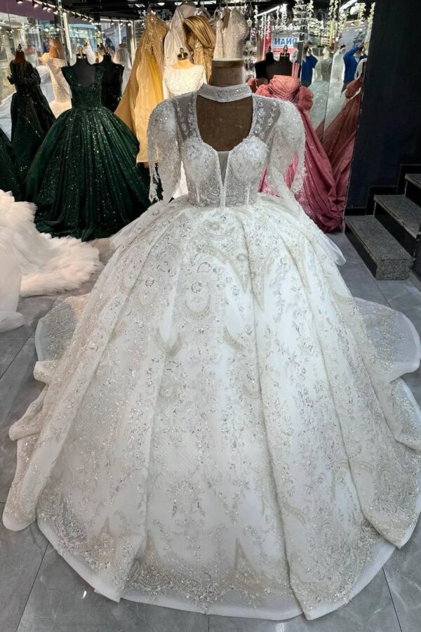 Women's Collections