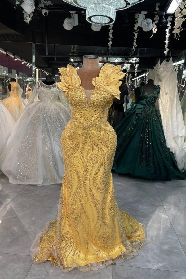 Women's Collections