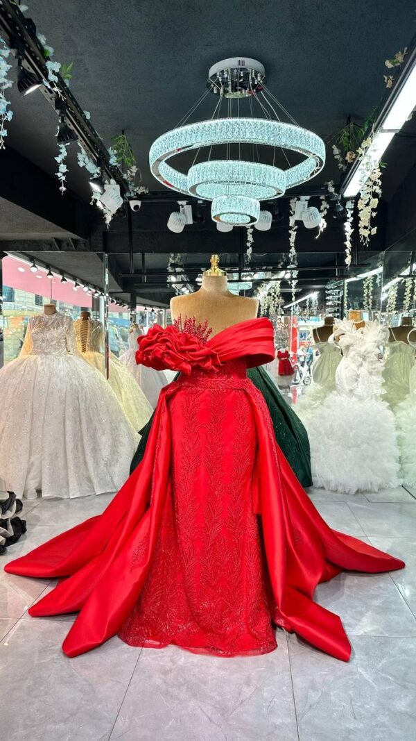 Women's Collections