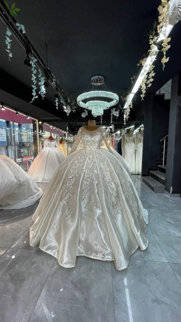 Women's Collections