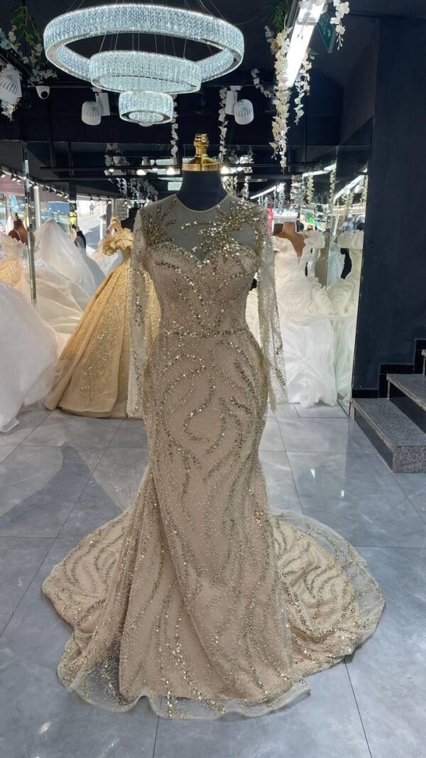 Women's Collections