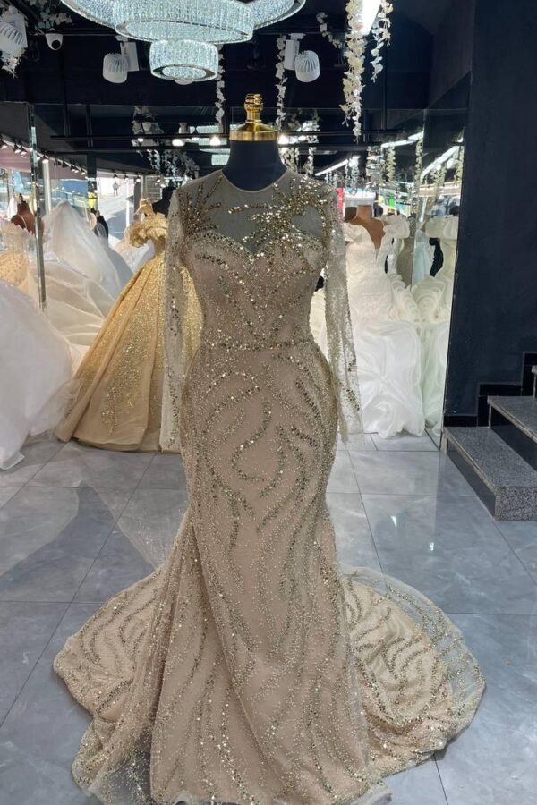 Women's Collections
