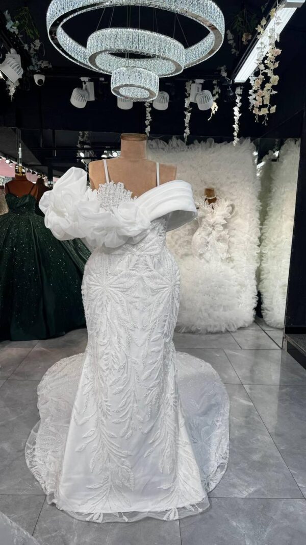 Women's Collections
