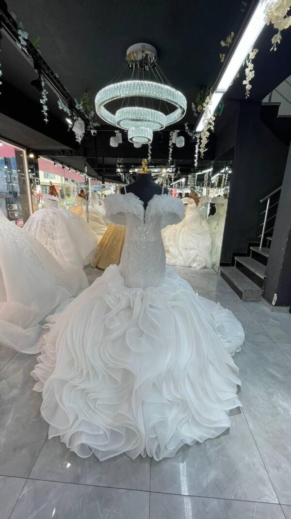 Women's Collections