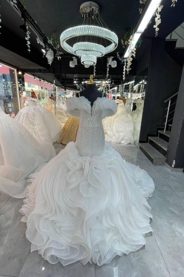 Women's Collections