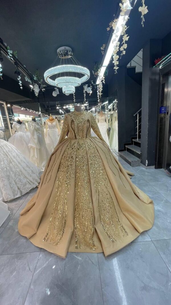Women's Collections