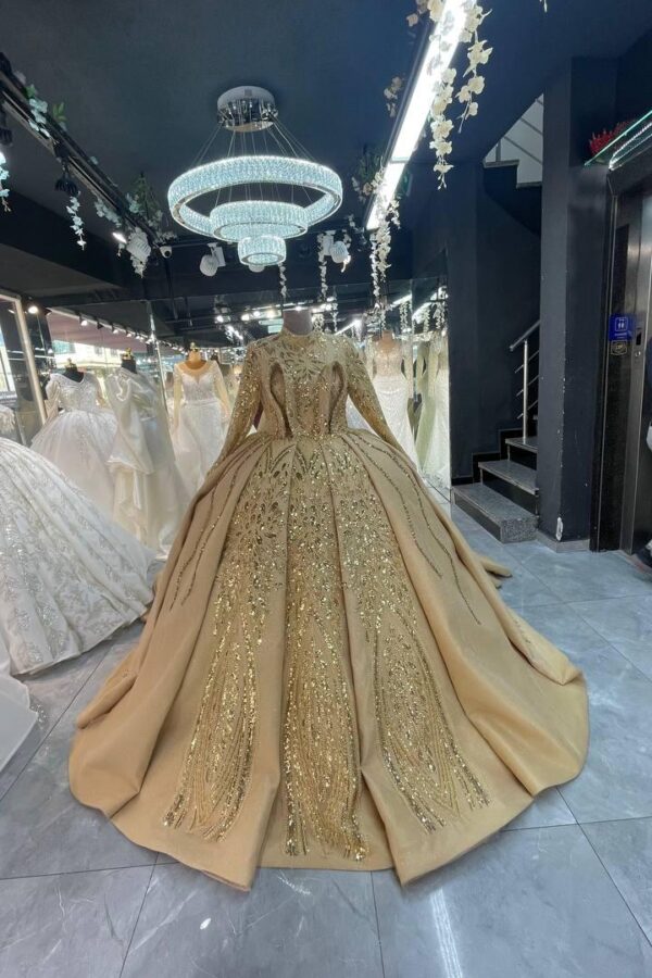 Women's Collections