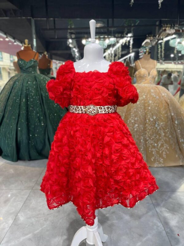 Women's Collections