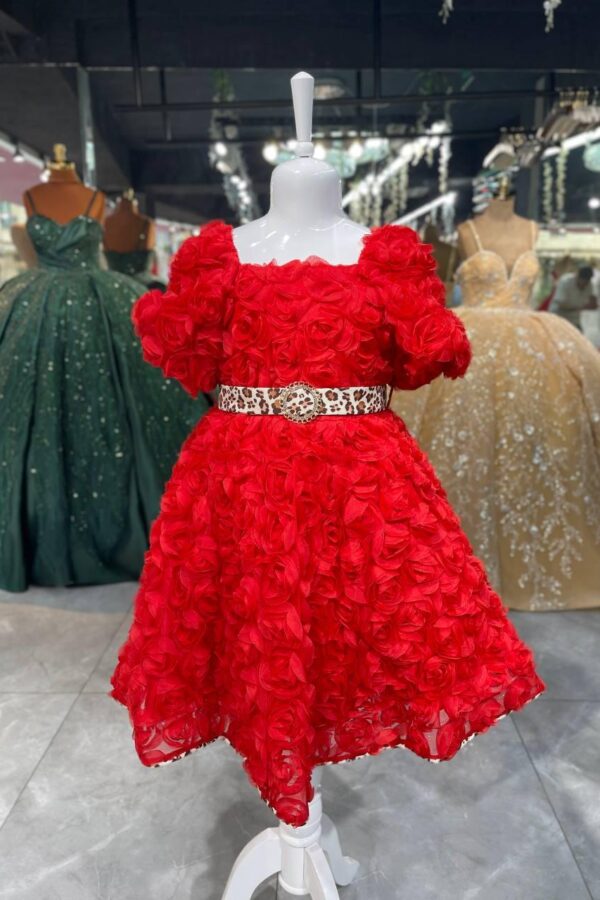 Women's Collections