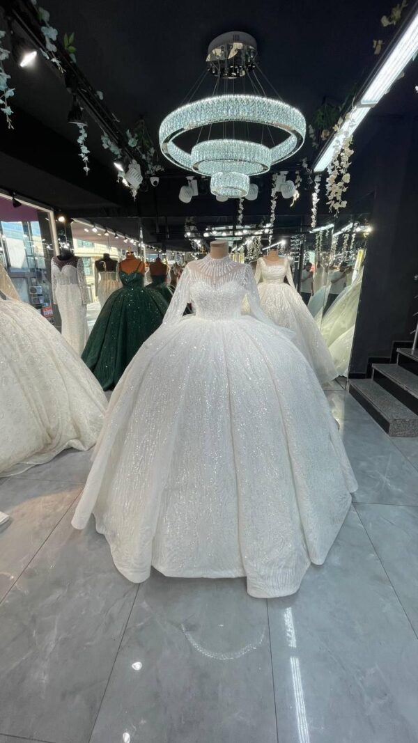 Women's Collections