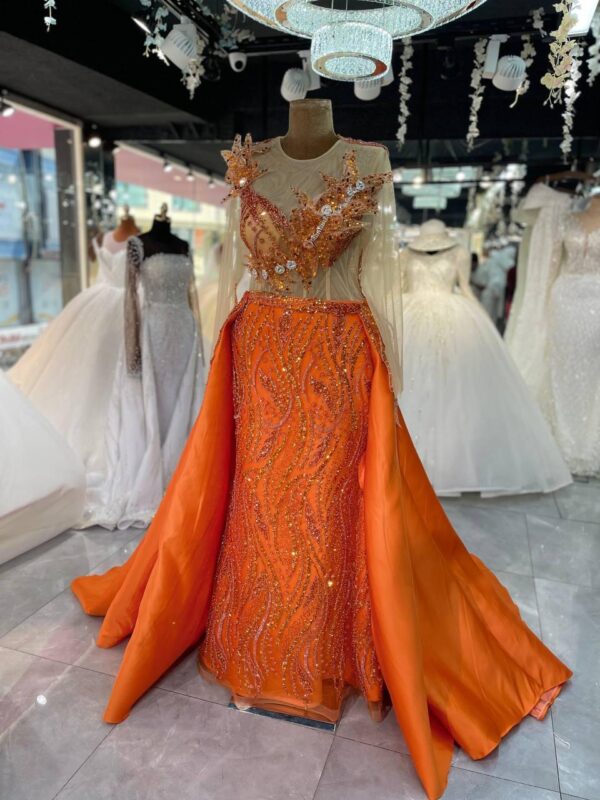 Women's Collections