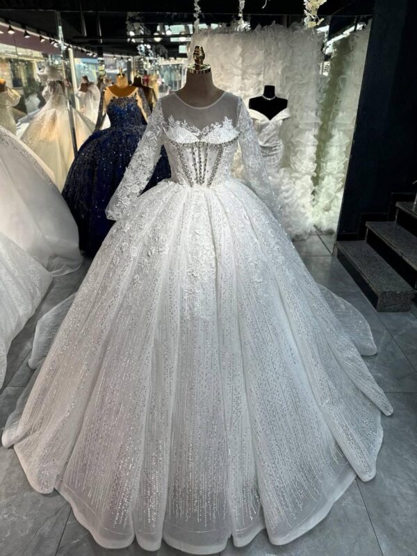 Women's Collections