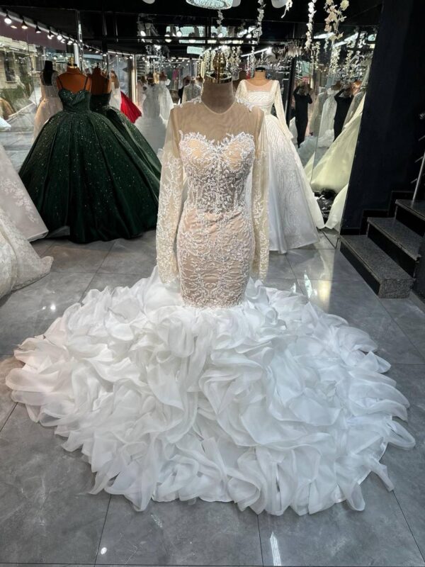 Women's Collections