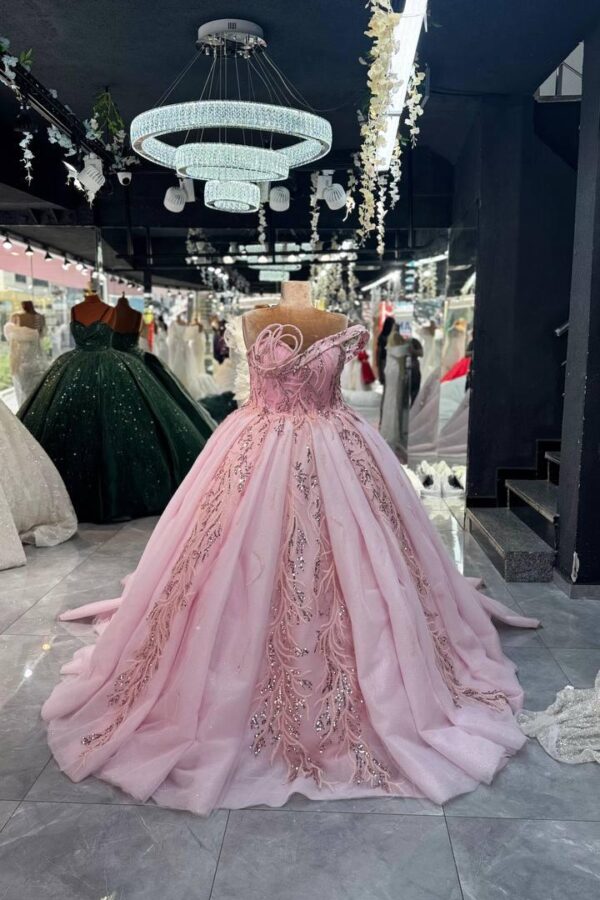 Women's Collections