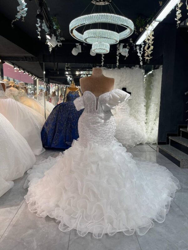 Women's Collections