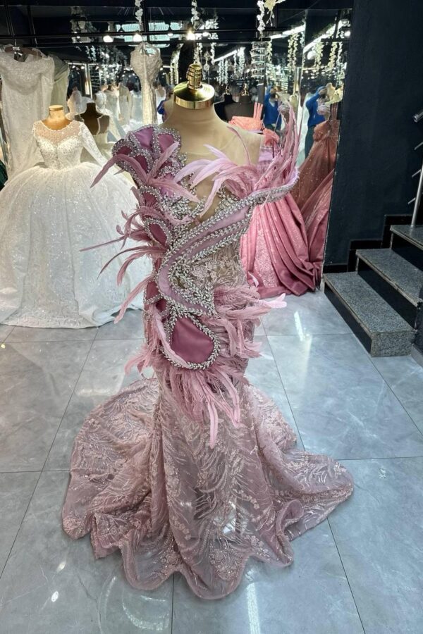 Women's Collections